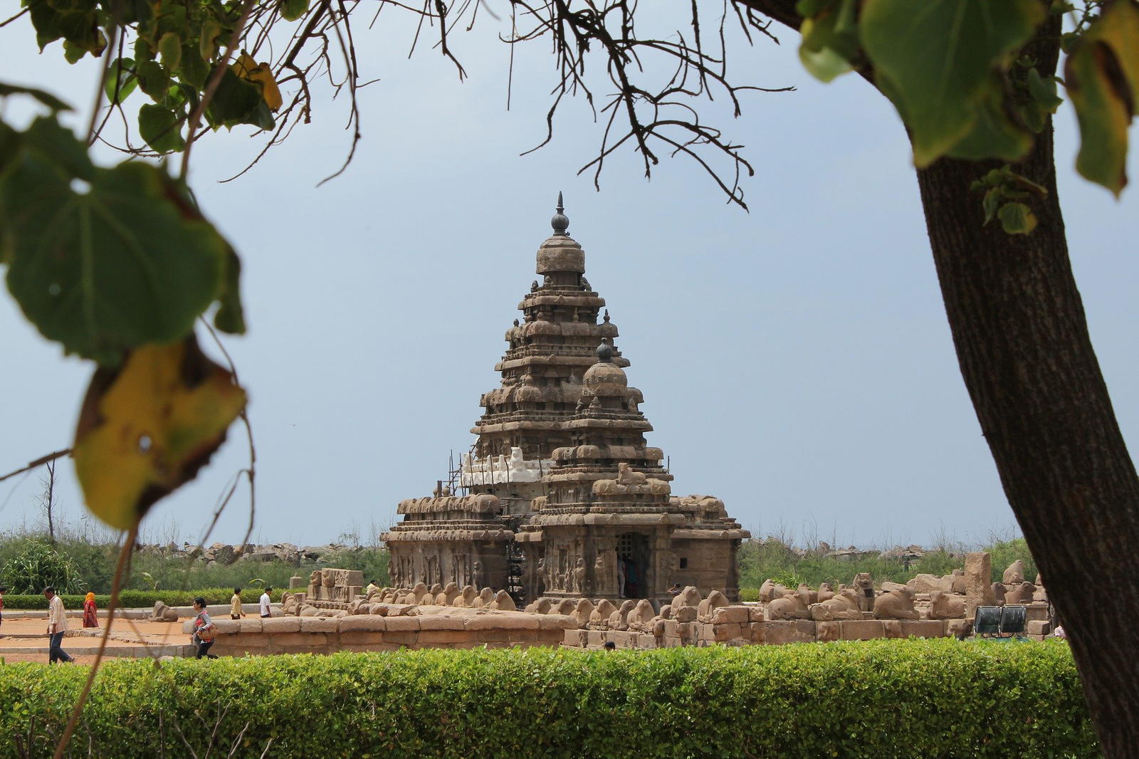 Mesmerizing Tamil Nadu